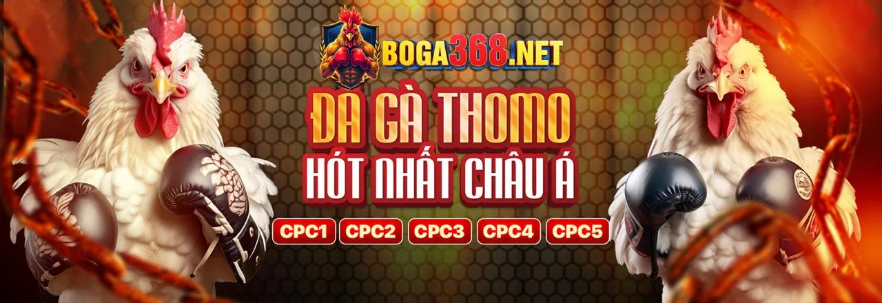 Sân đấu đá gà kịch tính tại kb69 link mới